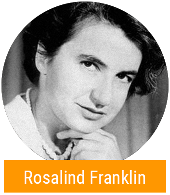 Rosalind Franklin